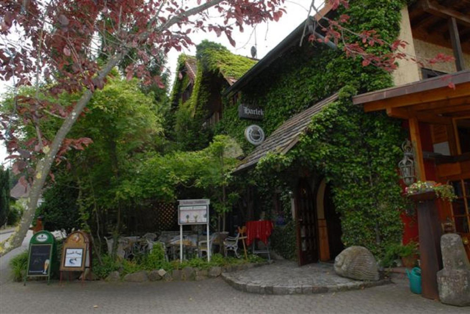 Alte Schreinerei-Auberge Harlekin Randegg Екстериор снимка