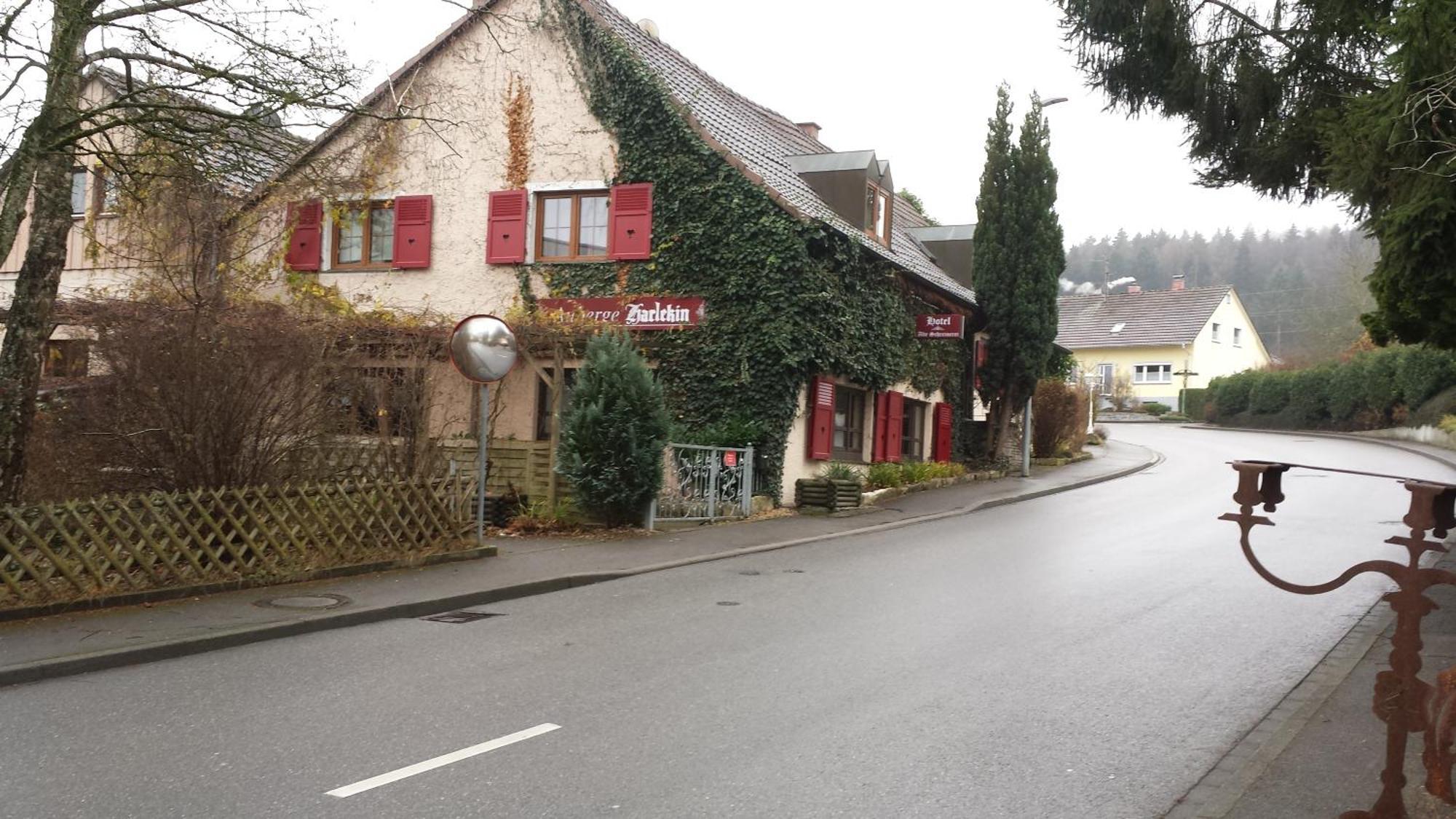 Alte Schreinerei-Auberge Harlekin Randegg Стая снимка
