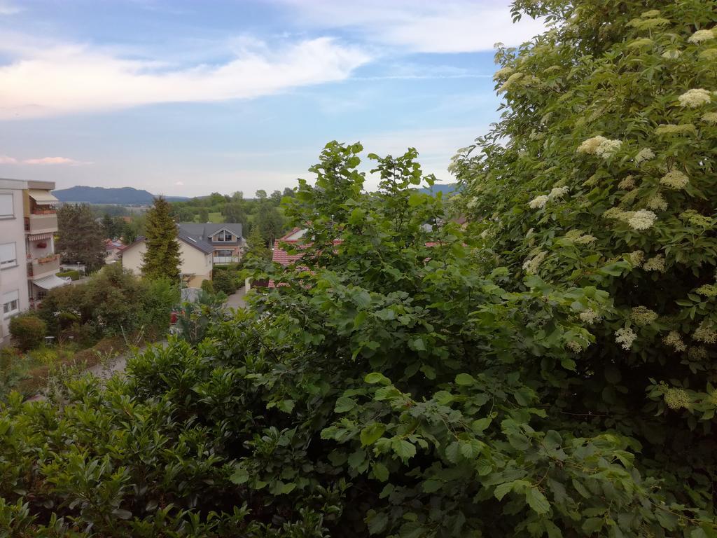 Alte Schreinerei-Auberge Harlekin Randegg Екстериор снимка