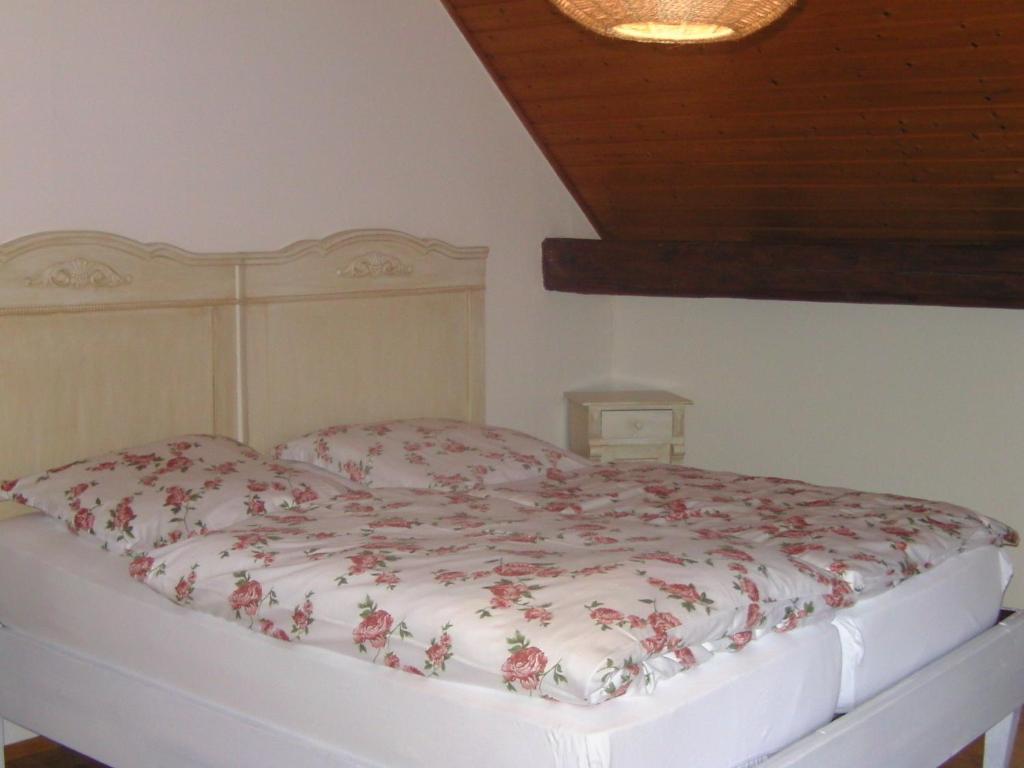 Alte Schreinerei-Auberge Harlekin Randegg Стая снимка