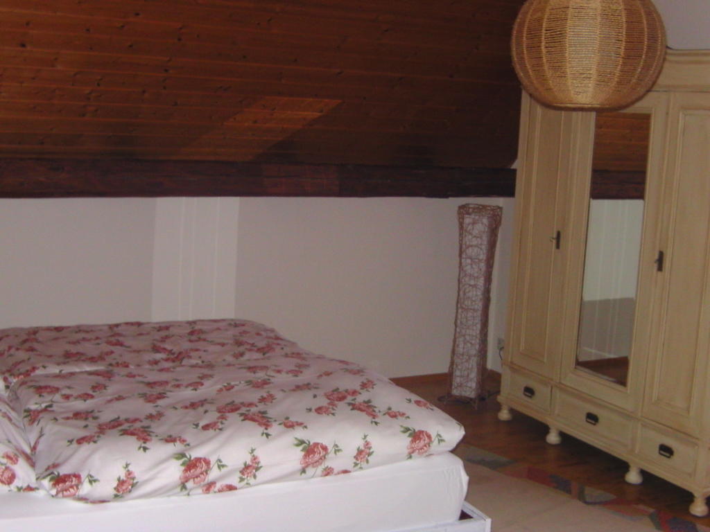 Alte Schreinerei-Auberge Harlekin Randegg Стая снимка
