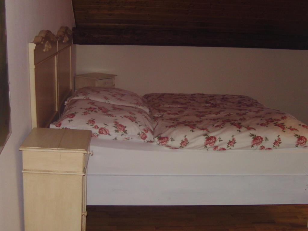 Alte Schreinerei-Auberge Harlekin Randegg Стая снимка